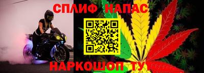 СК Краснознаменск