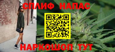 СК Краснознаменск