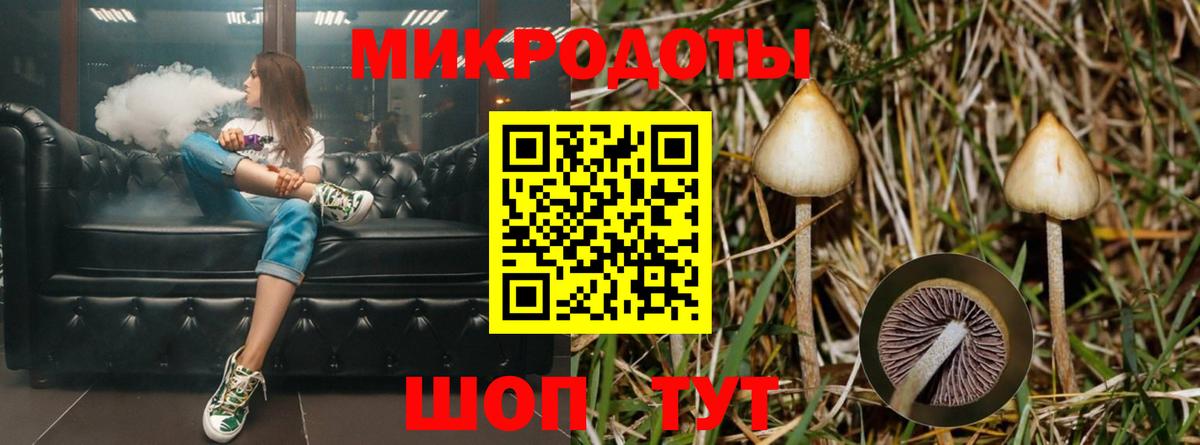 Галлюциногенные грибы Cubensis Ковров